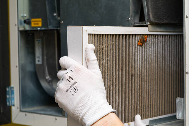 Best Home Air Vent Cleaning  in Ruleville, MS